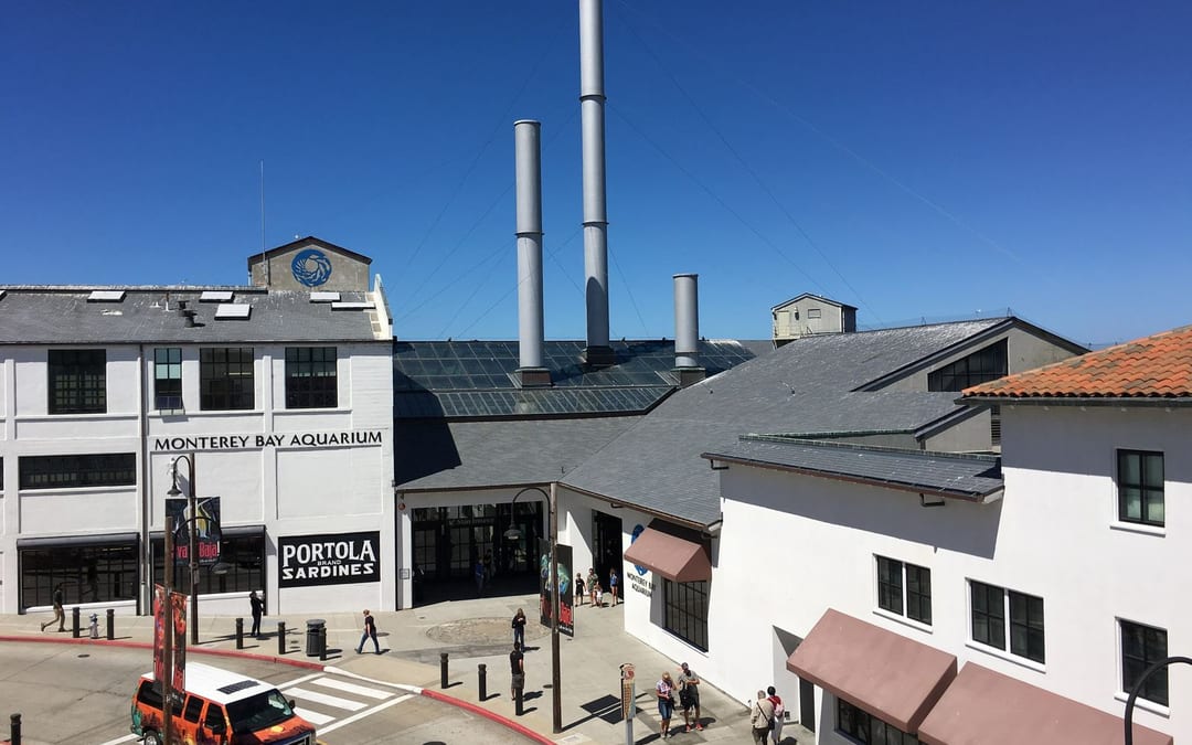 Monterey Bay Aquarium & Ocean Kelp Forest - family day trip 1h 59m from Dublin, CA