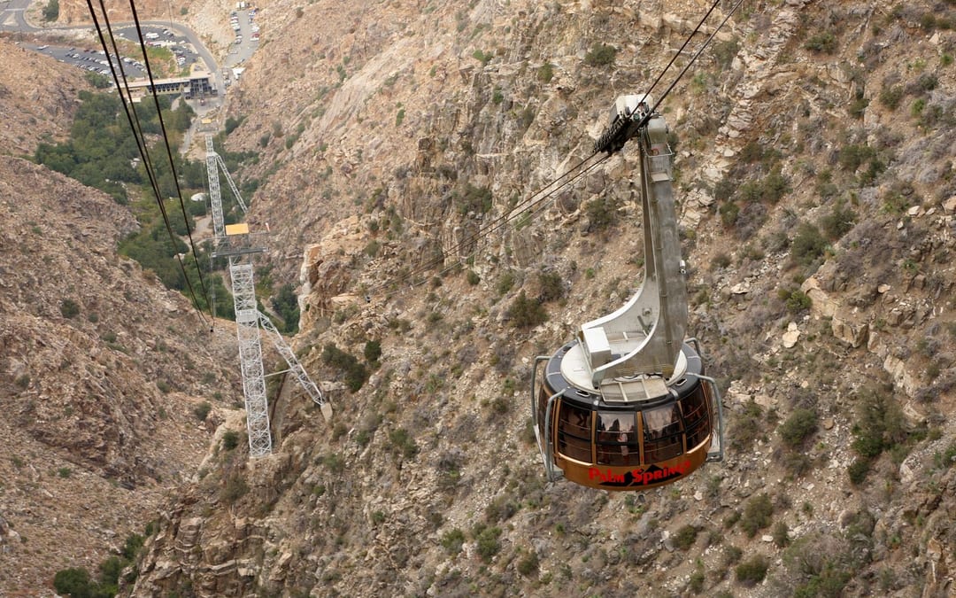 Palm Springs Aerial Tramway & Desert Oasis Palms - family day trip 8h 26m from Dublin, CA