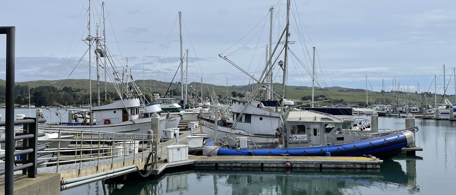 Bodega Harbor Fishing Boats & Coastal Headlands - a 2h 01m family road trip from Dublin, CA