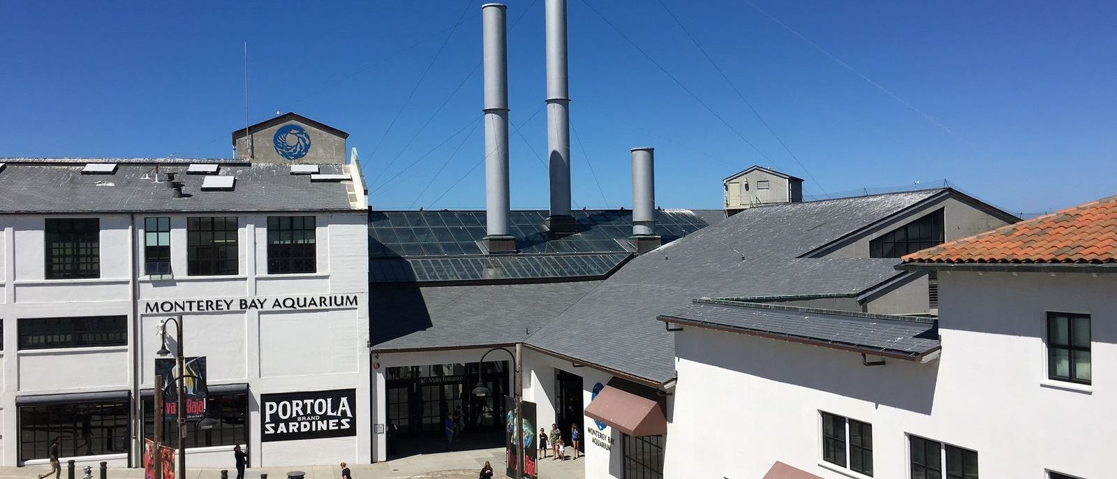 Monterey Bay Aquarium & Ocean Kelp Forest - a 1h 59m family road trip from Dublin, CA